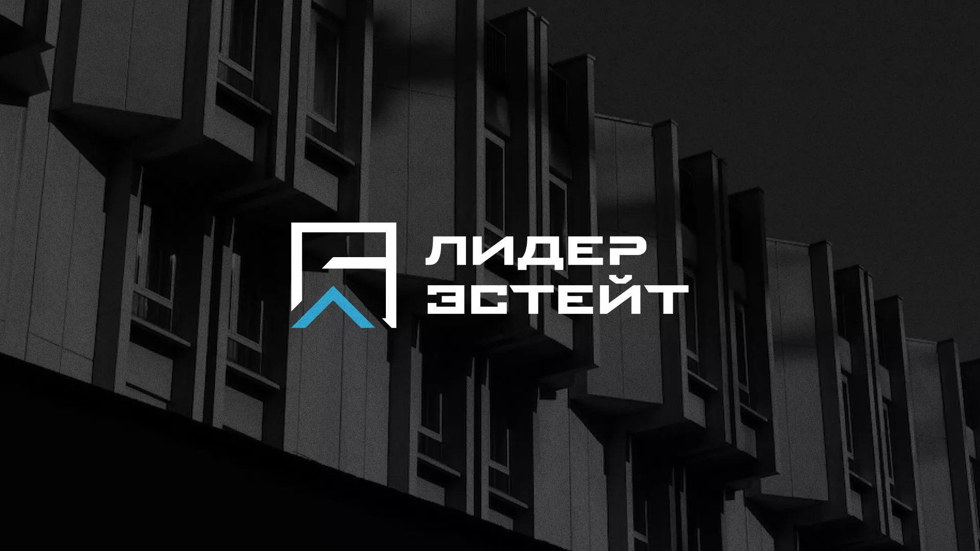 Разработка логотипа агентства недвижимости «Лидер Эстейт» в Рыбинске